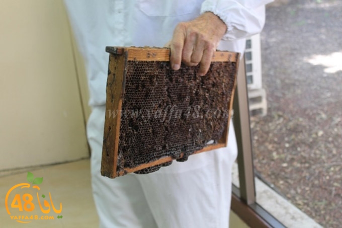 re7la janob (25).JPG